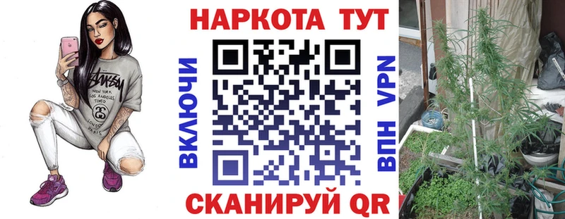 Как найти закладки Снежногорск Кокаин  АМФЕТАМИН  ГАШИШ  Меф мяу мяу 
