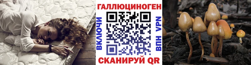 Галлюциногенные грибы Psilocybe  Снежногорск 
